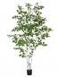 Preview: EUROPALMS Birkenbaum, Kunstpflanze, 210cm