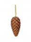 Preview: EUROPALMS Arrangement Goldrausch
