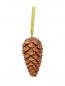 Preview: EUROPALMS Arrangement Goldrausch