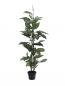 Preview: EUROPALMS Dieffenbachia, künstlich, 120cm