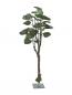 Preview: EUROPALMS Pothosbaum, Kunstpflanze, 175cm
