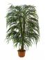 Preview: EUROPALMS Weidenbaum Multiblatt, Kunstpflanze, 215cm
