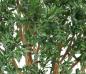 Preview: EUROPALMS Riesen-Olivenbaum, Kunstpflanze, 250cm
