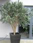 Preview: EUROPALMS Riesen-Olivenbaum, Kunstpflanze, 250cm