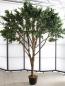 Preview: EUROPALMS Riesen-Olivenbaum, Kunstpflanze, 250cm