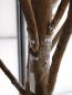 Preview: EUROPALMS Riesen-Olivenbaum, Kunstpflanze, 250cm