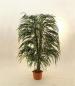 Preview: EUROPALMS Weidenbaum Multiblatt, Kunstpflanze, 215cm