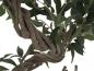 Preview: EUROPALMS Ficus Multi Spiralstamm, Kunstpflanze, 130cm