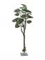 Preview: EUROPALMS Pothosbaum, Kunstpflanze, 175cm
