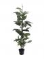 Preview: EUROPALMS Dieffenbachia, künstlich, 120cm