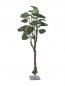 Preview: EUROPALMS Pothosbaum, Kunstpflanze, 175cm