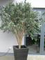 Preview: EUROPALMS Riesen-Olivenbaum, Kunstpflanze, 250cm