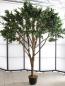 Preview: EUROPALMS Riesen-Olivenbaum, Kunstpflanze, 250cm