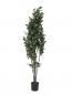 Preview: EUROPALMS Schefflera, künstlich, 120cm