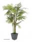 Preview: EUROPALMS Cycasrohr Palme, Kunstpflanze, 280cm