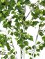 Preview: EUROPALMS Birkenbaum, Kunstpflanze, 210cm