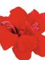Preview: EUROPALMS Amarylliszweig, künstlich, rot, 72cm
