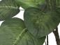 Preview: EUROPALMS Pothosbaum, Kunstpflanze, 175cm