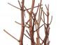 Preview: EUROPALMS Fenchelbund, getrocknet, gold, 160cm