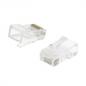 Preview: Stecker RJ45 Solid UTP CAT5 Male Transparent