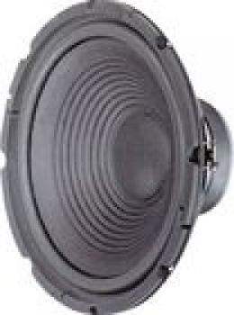 W300 Tieftöner 30cm