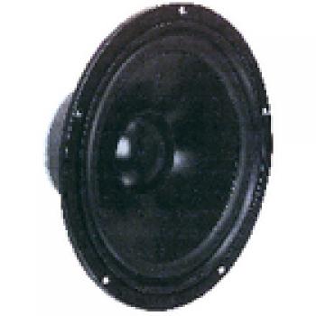 Tieftöner 25cm (10") 4 Ohm