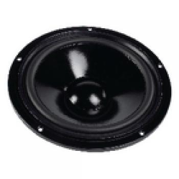 HiFi-Tieftöner 25 cm (10")