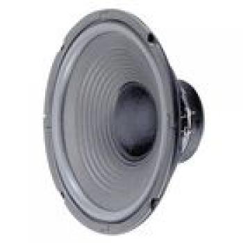 W250 Tieftöner 25cm