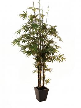 EUROPALMS Bambus Dunkelstamm, Kunstpflanze 240cm