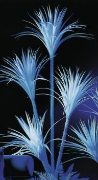 EUROPALMS Yucca, uv-weiß, künstlich,   180cm