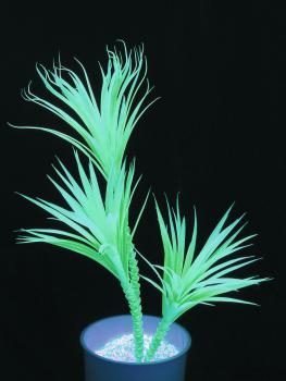 EUROPALMS Yucca, uv-grün, künstlich,   90cm