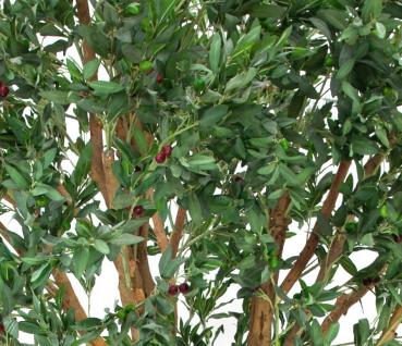 EUROPALMS Riesen-Olivenbaum, Kunstpflanze, 250cm