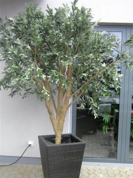 EUROPALMS Riesen-Olivenbaum, Kunstpflanze, 250cm