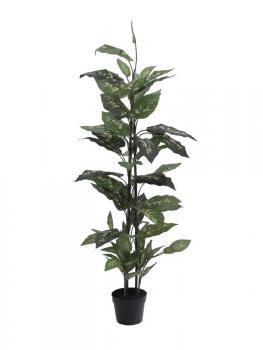 EUROPALMS Dieffenbachia, künstlich, 120cm