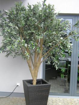 EUROPALMS Riesen-Olivenbaum, Kunstpflanze, 250cm