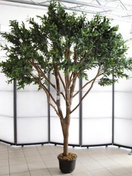 EUROPALMS Riesen-Olivenbaum, Kunstpflanze, 250cm