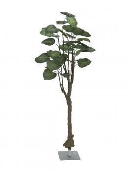 EUROPALMS Pothosbaum, Kunstpflanze, 175cm