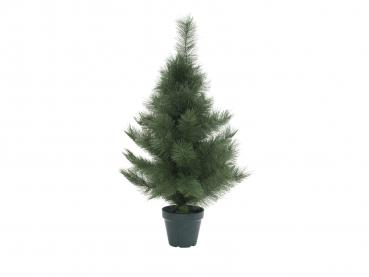 EUROPALMS Tannenbaum MINI, 90cm