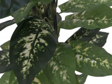 EUROPALMS Dieffenbachia, künstlich, 120cm