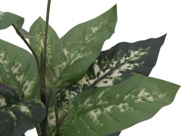 EUROPALMS Dieffenbachia, künstlich, 120cm