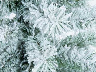EUROPALMS Tannenbaum, beflockt, 150cm