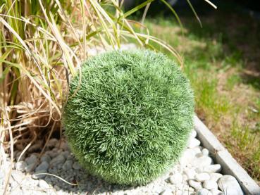 EUROPALMS Graskugel, künstlich,  23cm