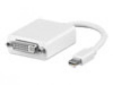 DisplayPort Mini > DVI (ST - BU) Adapter