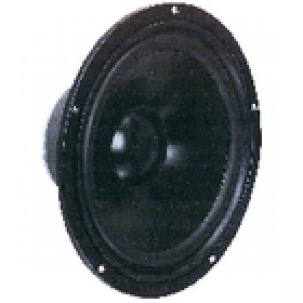 Tieftöner 25cm (10") 4 Ohm