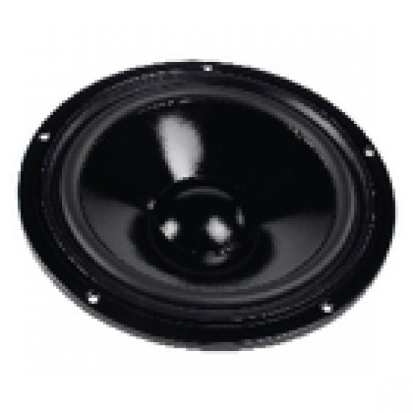 HiFi-Tieftöner 25 cm (10")