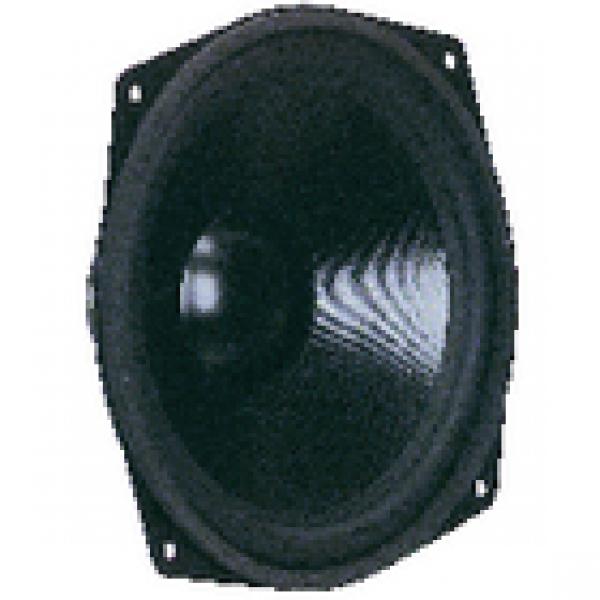 25cm (10") Tieftöner