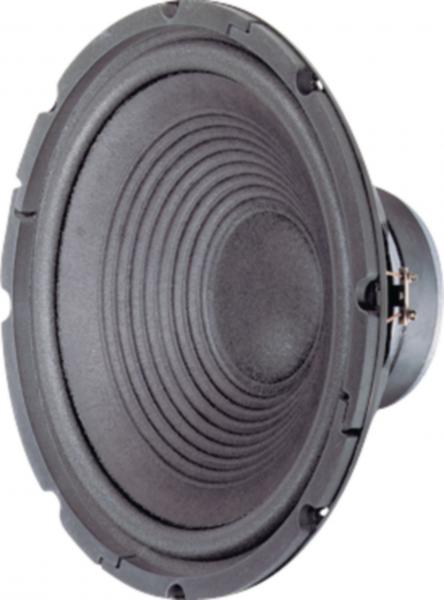 W300 Tieftöner 30cm