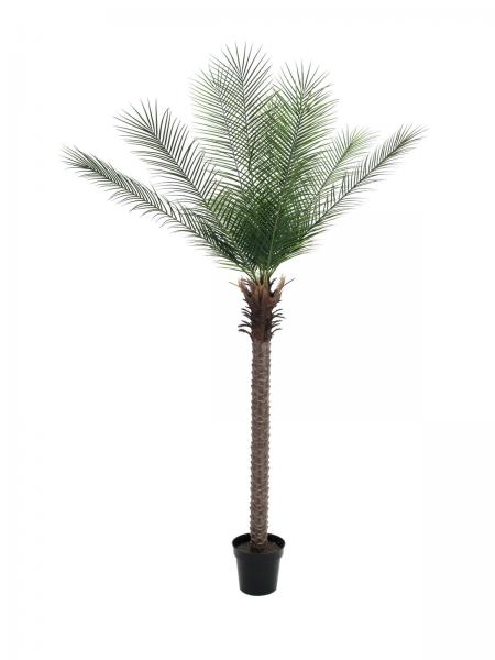 EUROPALMS Phönix Palme deluxe, Kunstpflanze  220cm