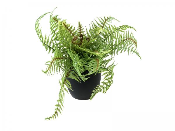 EUROPALMS Bostonfarn, deluxe, Kunstpflanze, 37cm