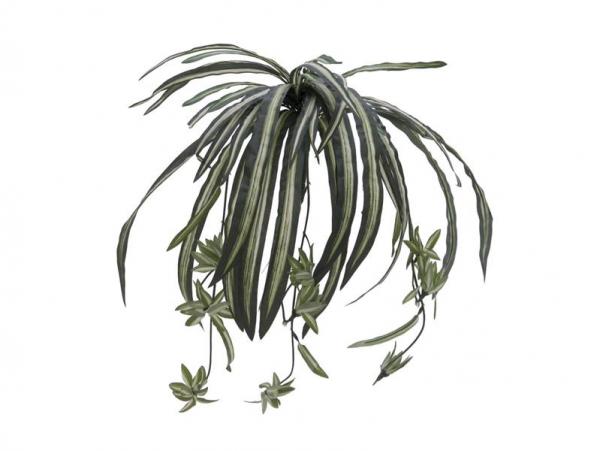 EUROPALMS Grünlilie, künstlich, 60cm